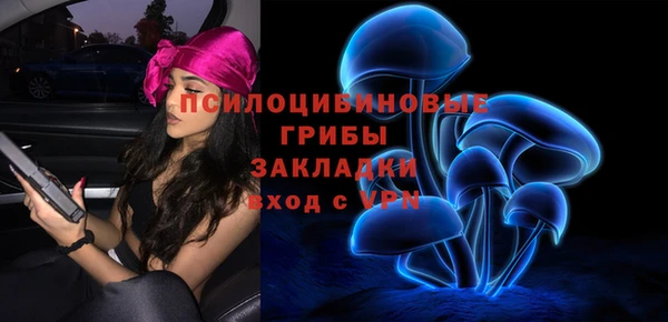 бошки Красноперекопск