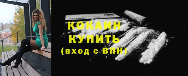эйфоретик Кукмор