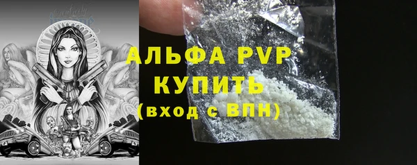 СК Краснослободск